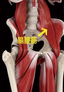 セルフ腸腰筋ストレッチのお話2