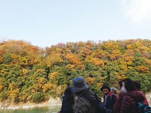 初めての自然観察会