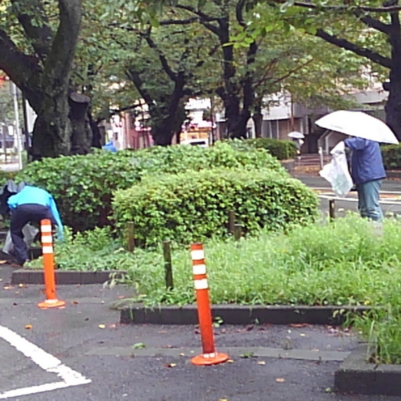 地域美化運動20180921-③
