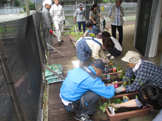 上九沢グリーンカーテン20150707①