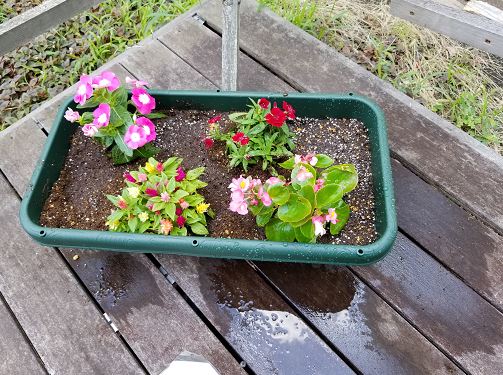 上九沢花植え20180711-③